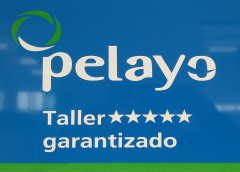 pelayo_taller_garantizado.png